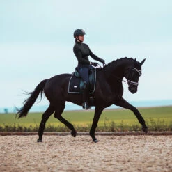 Bandages Equestrian Stockholm Black Edition Zwart -Default Template 3 bandages equestrian stockholm black edition zwart 1500x1500 147626