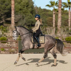 Bandages Equestrian Stockholm Chantelle Lichtbruin -Default Template 3 bandages equestrian stockholm chantelle lichtbruin 1500x1500 153784