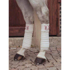 Bandages Equestrian Stockholm Desert Rose Lichtroze -Default Template 3 bandages equestrian stockholm desert rose lichtroze 1500x1500 147537
