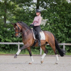 Bandages Equestrian Stockholm Desert Rose Lichtroze -Default Template 3 bandages equestrian stockholm desert rose lichtroze 1500x1500 147538