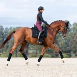 Bandages Equestrian Stockholm Total Eclipse Zwart -Default Template 3 bandages equestrian stockholm total eclipse zwart 1500x1500 153944