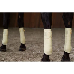 Bandages Eskadron Platinum Pure Mesh Lichtgeel -Default Template 3 bandages eskadron platinum pure mesh lichtgeel 1500x1500 184438