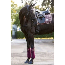 Bandages HB Showtime Lake View Donkerrood 6 Bandages HB Showtime Lake View Donkerrood -Default Template 3 bandages hb showtime lake view donkerrood 1500x1500 129399