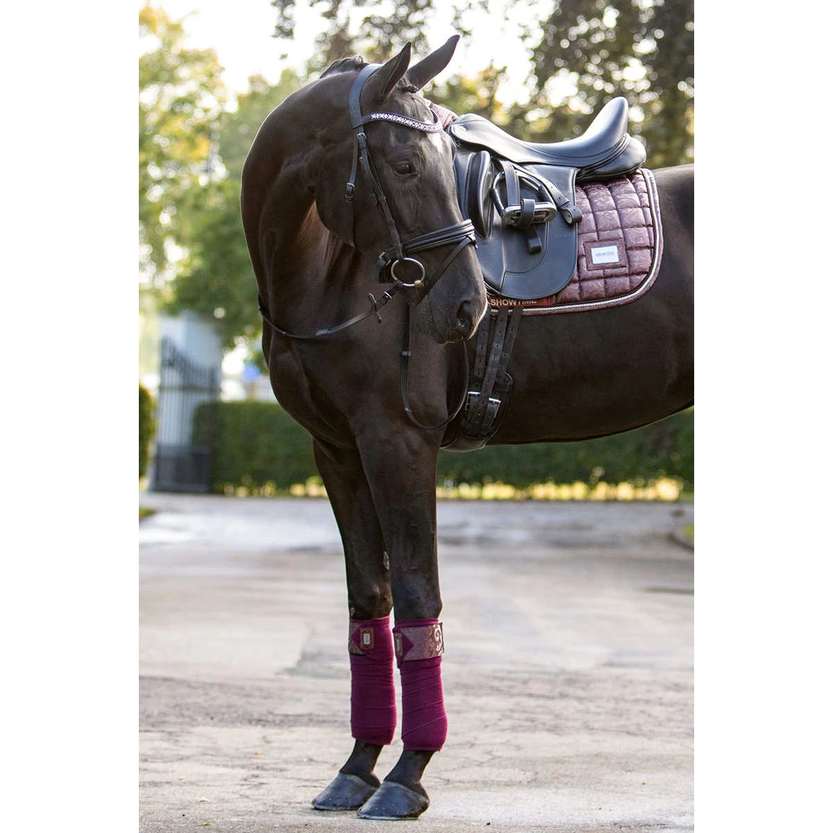 Bandages HB Showtime Lake View Donkerrood 3 Bandages HB Showtime Lake View Donkerrood - Afbeelding 3