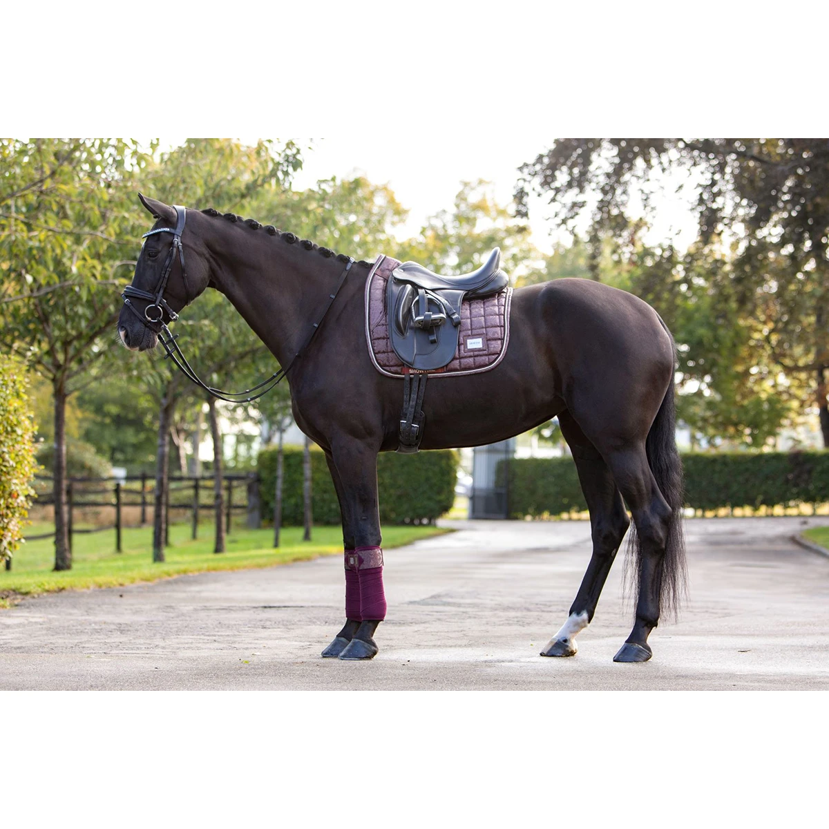 Bandages HB Showtime Lake View Donkerrood 4 Bandages HB Showtime Lake View Donkerrood - Afbeelding 4