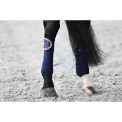 Bandages Horsegear Aurum Donkerblauw -Default Template 3 bandages horsegear aurum donkerblauw 1500x1500 139137