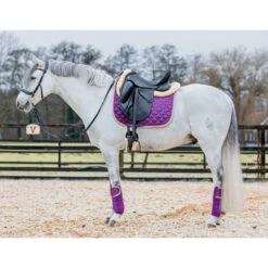 Bandages Horsegear Aurum Paars -Default Template 3 bandages horsegear aurum paars 1500x1500 139131