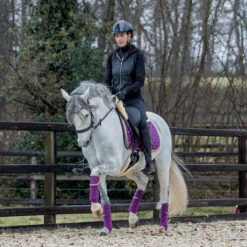 Bandages Horsegear Aurum Paars -Default Template 3 bandages horsegear aurum paars 1500x1500 139133