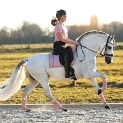 Bandages Horsegear Ruches 4-pack Roze -Default Template 3 bandages horsegear ruches 4 pack roze 1500x1500 143287