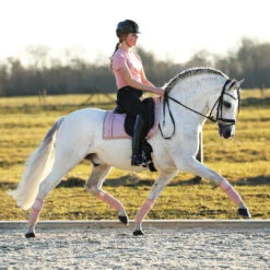 Bandages Horsegear Ruches 4-pack Roze -Default Template 3 bandages horsegear ruches 4 pack roze 1500x1500 143288