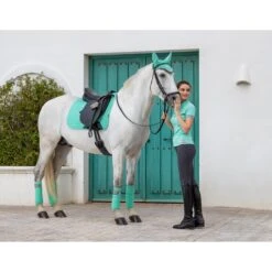 Bandages LeMieux Polo Lichtgroen -Default Template 3 bandages lemieux polo lichtgroen 1500x1500 153177