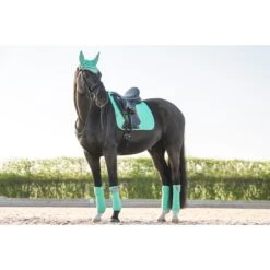 Bandages LeMieux Polo Lichtgroen -Default Template 3 bandages lemieux polo lichtgroen 1500x1500 153178