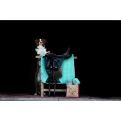 Bandages LeMieux Polo Lichtgroen -Default Template 3 bandages lemieux polo lichtgroen 1500x1500 153179