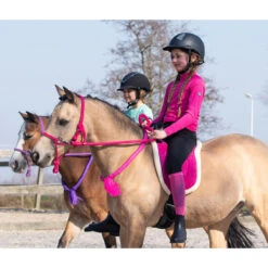 Barebackpad QHP Donkerroze -Default Template 3 barebackpad qhp donkerroze 1500x1500 120595