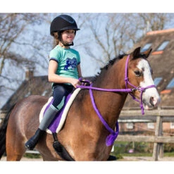 Barebackpad QHP Paars -Default Template 3 barebackpad qhp paars 1500x1500 120598