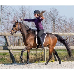 Barebackpad QHP Zwart -Default Template 3 barebackpad qhp zwart 1500x1500 120591