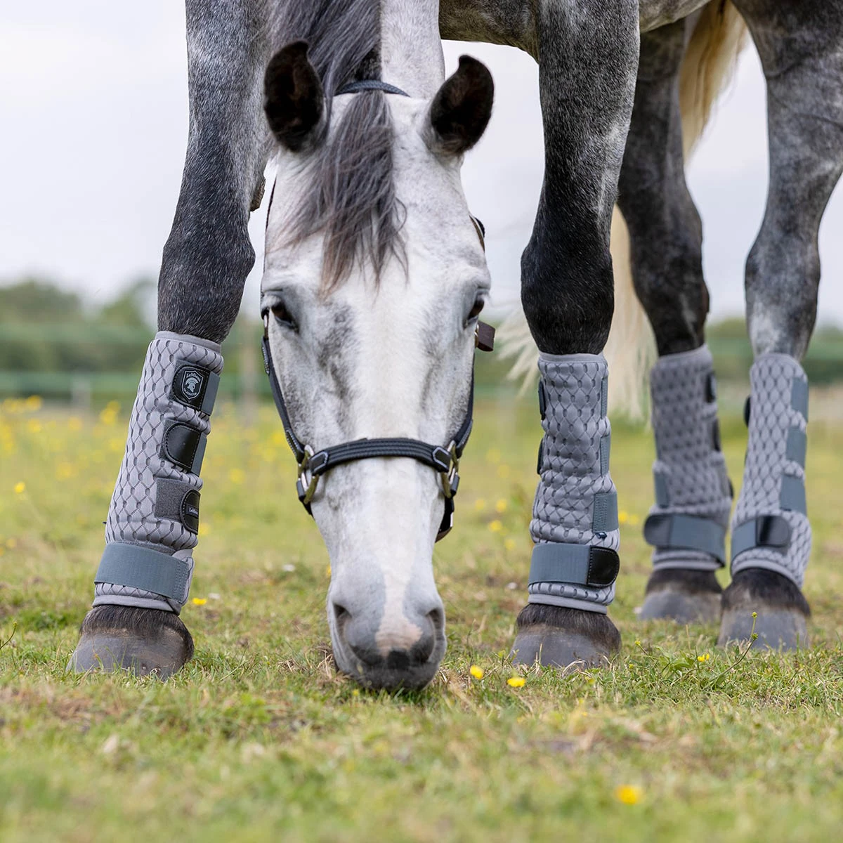 Beenbeschermers LeMieux Gladiator Mesh Fly Grijs 5 Beenbeschermers LeMieux Gladiator Mesh Fly Grijs - Afbeelding 5