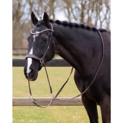 Bitloos Hoofdstel QHP Sunna Donkerbruin -Default Template 3 bitloos hoofdstel qhp sunna donkerbruin 1500x1500 169602