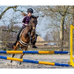 Bitloos Hoofdstel QHP Sunna Zwart -Default Template 3 bitloos hoofdstel qhp sunna zwart 1500x1500 124747