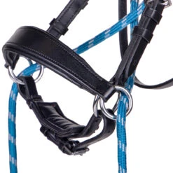 Bitloos Hoofdstel QHP Thunderbolt Black-blue 8 Bitloos Hoofdstel QHP Thunderbolt Black-blue -Default Template 3 bitloos hoofdstel qhp thunderbolt black blue 1500x1500 185557