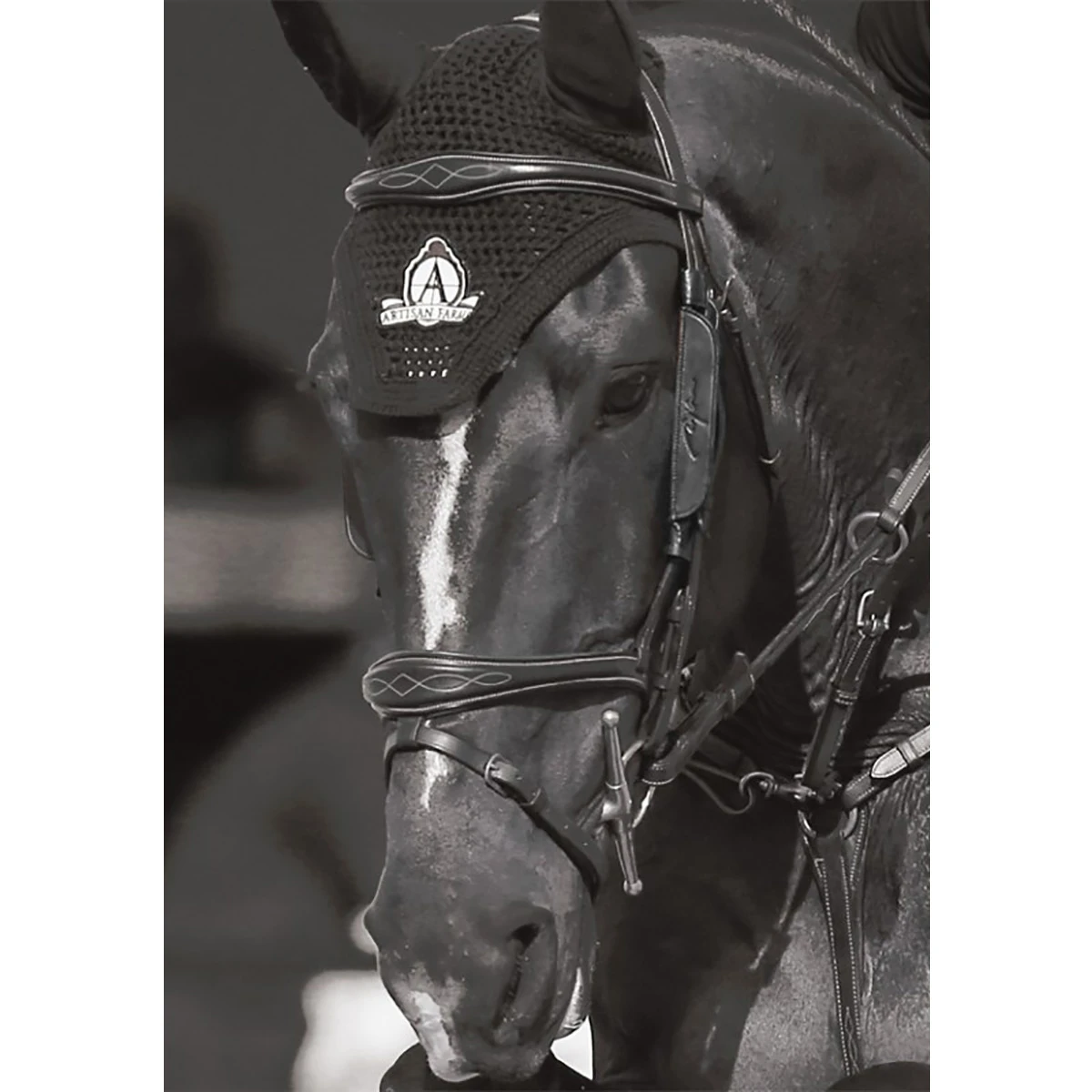 Blinkers Dy'on Zwart 4 Blinkers Dy'on Zwart - Afbeelding 4