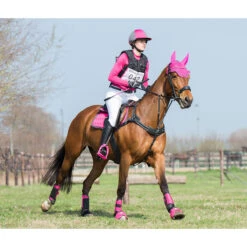 Borsttuig Met Martingaal QHP Sedna Zwart -Default Template 3 borsttuig met martingaal qhp sedna zwart 1500x1500 101259