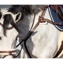 Borsttuig QHP Ontario Bruin -Default Template 3 borsttuig qhp ontario bruin 1500x1500 120430