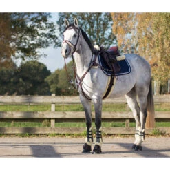 Borsttuig QHP Ontario Bruin -Default Template 3 borsttuig qhp ontario bruin 1500x1500 120432