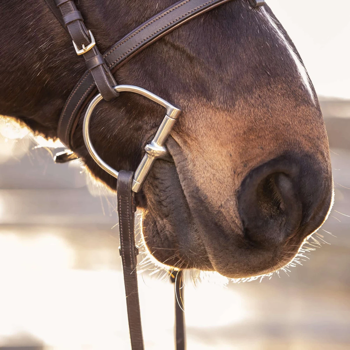 D-Trens Sprenger Enkelgebroken 16mm Overige 2 D-Trens Sprenger Enkelgebroken 16mm Overige - Afbeelding 2