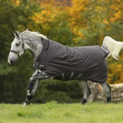 Deken Amigo Bravo 1200D Wug 250gr Grijs-paars -Default Template 3 deken amigo bravo 1200d wug 250gr grijs paars 1500x1500 114032