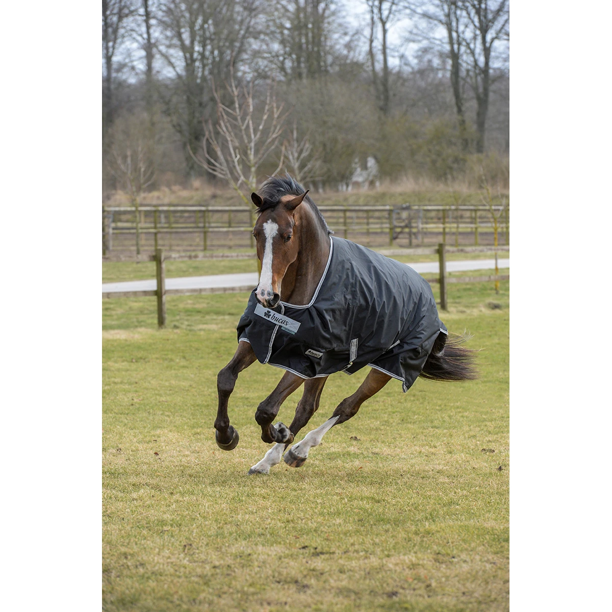 Deken Bucas Anniversary Turnout Stay-Dry 150gr Zwart-zilver 6 Deken Bucas Anniversary Turnout Stay-Dry 150gr Zwart-zilver - Afbeelding 6