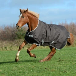 Deken Bucas Freedom Turnout 150gr Bruin -Default Template 3 deken bucas freedom turnout 150gr bruin 1500x1500 113227