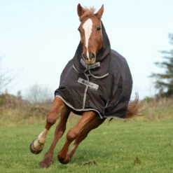 Deken Bucas Freedom Turnout 150gr Bruin -Default Template 3 deken bucas freedom turnout 150gr bruin 1500x1500 113228