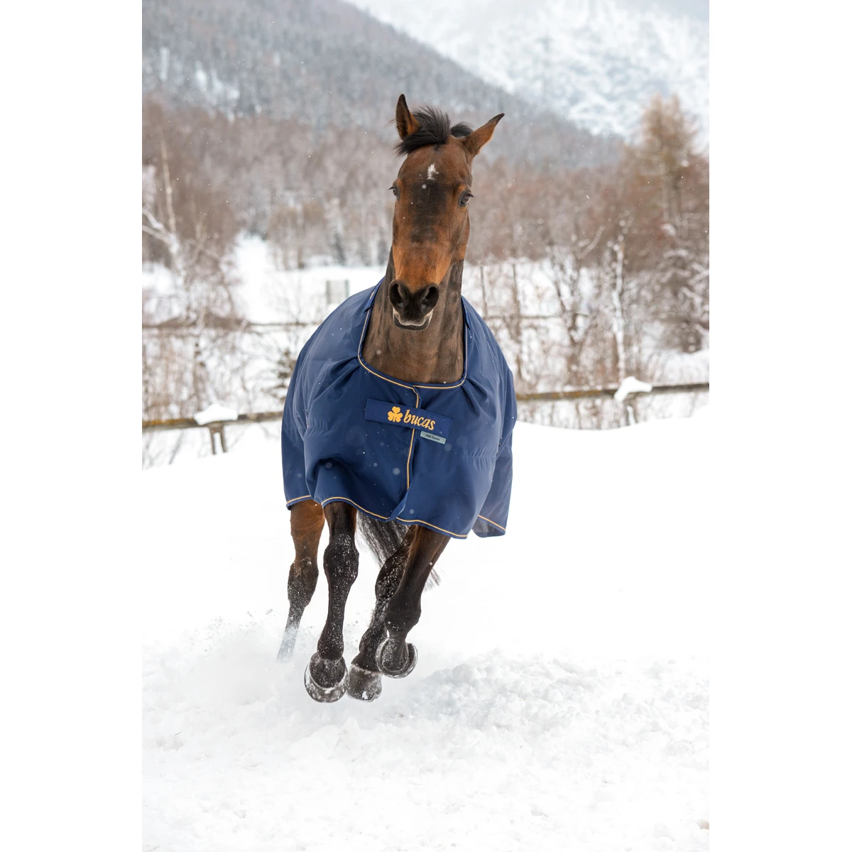 Deken Bucas Irish Turnout Extra 300gr Donkerblauw-goud 2 Deken Bucas Irish Turnout Extra 300gr Donkerblauw-goud - Afbeelding 2