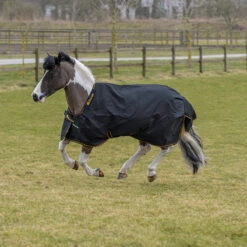 Deken Bucas Irish Turnout Light 50gr Pony Zwart-goud 5 Deken Bucas Irish Turnout Light 50gr Pony Zwart-goud -Default Template 3 deken bucas irish turnout light 50gr pony zwart goud 1500x1500 123656