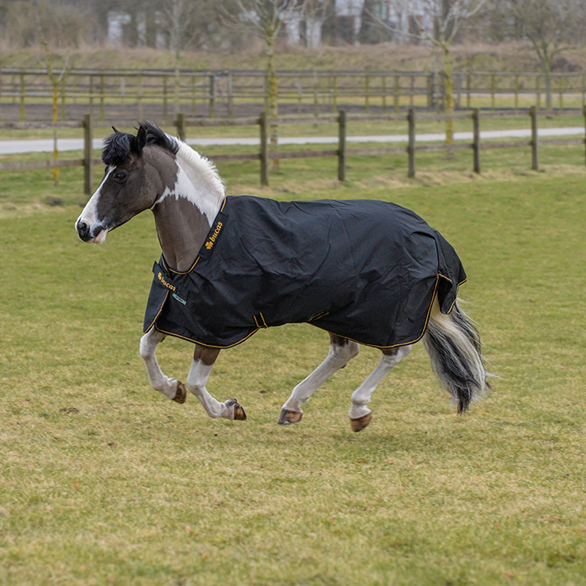 Deken Bucas Irish Turnout Light 50gr Pony Zwart-goud 3 Deken Bucas Irish Turnout Light 50gr Pony Zwart-goud - Afbeelding 3