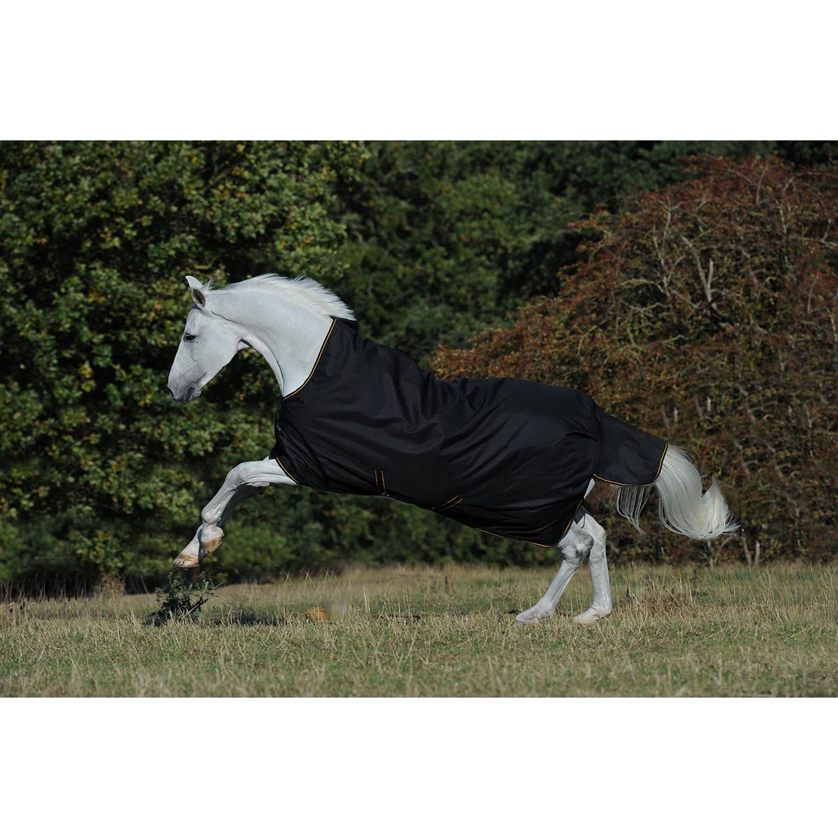 Deken Bucas Irish Turnout Light High Neck 50gr Zwart-goud 2 Deken Bucas Irish Turnout Light High Neck 50gr Zwart-goud - Afbeelding 2