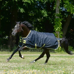 Deken Bucas Oasis Met Hals 100gr Donkergrijs -Default Template 3 deken bucas oasis met hals 100gr donkergrijs 1500x1500 182564