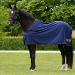 Deken Bucas Power Prize Cooler Donkerblauw-goud