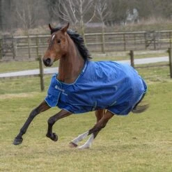 Deken Bucas Smartex Extra 300gr Blauw -Default Template 3 deken bucas smartex extra 300gr blauw 1500x1500 112022