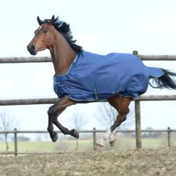 Deken Bucas Smartex Extra 300gr Blauw -Default Template 3 deken bucas smartex extra 300gr blauw 1500x1500 112023