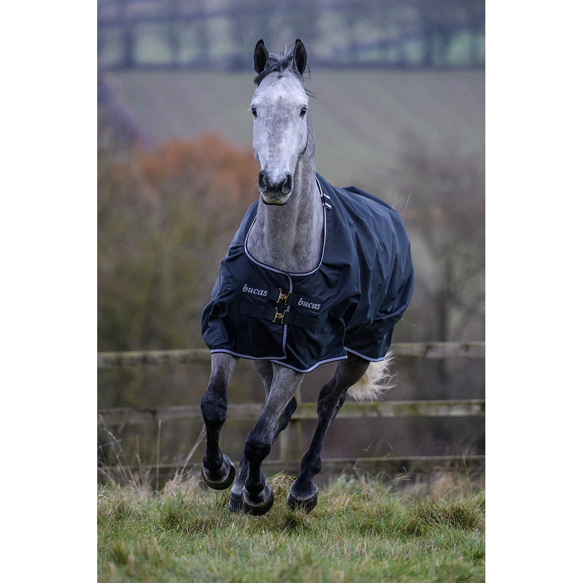 Deken Bucas Trotting Turnout 200gr Zwart-wit 2 Deken Bucas Trotting Turnout 200gr Zwart-wit - Afbeelding 2