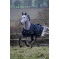 Deken Bucas Trotting Turnout 200gr Zwart-wit 5 Deken Bucas Trotting Turnout 200gr Zwart-wit -Default Template 3 deken bucas trotting turnout 200gr zwart wit 1500x1500 157965
