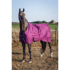 Deken Epplejeck EJRindal 200gr Donkerrood -Default Template 3 deken epplejeck ejrindal 200gr donkerrood 1500x1500 165868