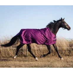 Deken Epplejeck EJRindal 200gr Donkerrood -Default Template 3 deken epplejeck ejrindal 200gr donkerrood 1500x1500 165869