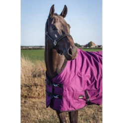 Deken Epplejeck EJRindal 200gr Donkerrood -Default Template 3 deken epplejeck ejrindal 200gr donkerrood 1500x1500 165870