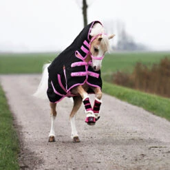 Deken Epplejeck Junior Full Neck 300gr Zwart-roze 13 Deken Epplejeck Junior Full Neck 300gr Zwart-roze -Default Template 3 deken epplejeck junior full neck 300gr zwart roze 1500x1500 98275