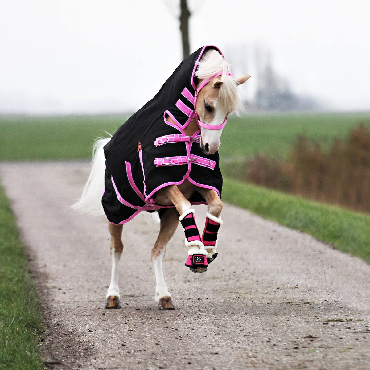 Deken Epplejeck Junior Full Neck 300gr Zwart-roze 7 Deken Epplejeck Junior Full Neck 300gr Zwart-roze - Afbeelding 7