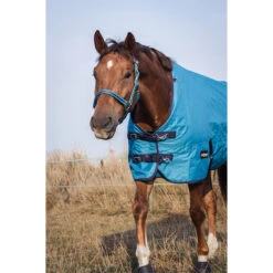 Deken Epplejeck Rindal 100gr Middenblauw 10 Deken Epplejeck Rindal 100gr Middenblauw -Default Template 3 deken epplejeck rindal 100gr middenblauw 1500x1500 165941