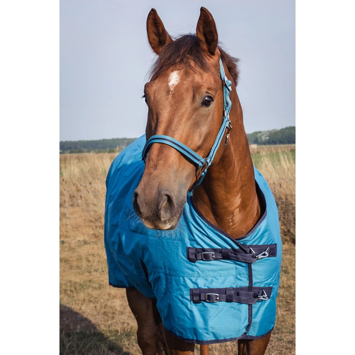 Deken Epplejeck Rindal 100gr Middenblauw 6 Deken Epplejeck Rindal 100gr Middenblauw - Afbeelding 6